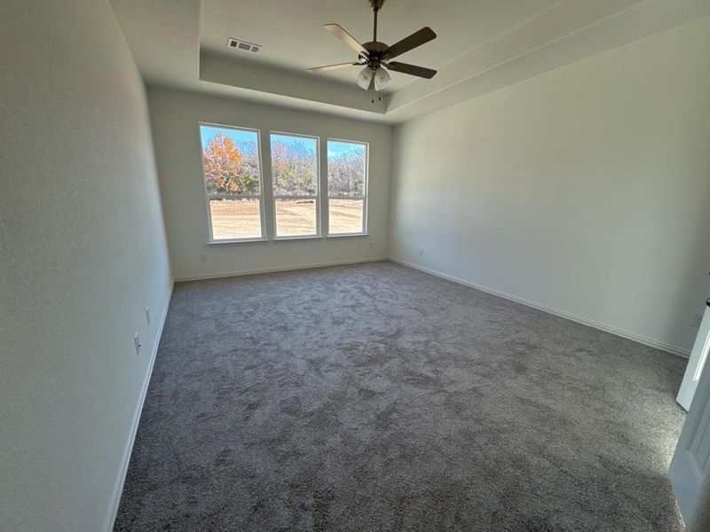 Carpeted spare room featuring a raised ceiling and a ceiling fan