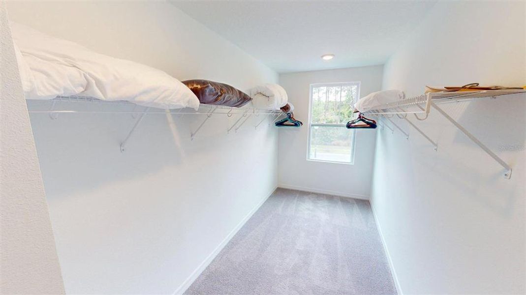 Spacious, unfurnished interior of a new home in , Winter Garden (Image 48). Spacious, unfurnished interior of a new home in , Winter Garden (Image 48).