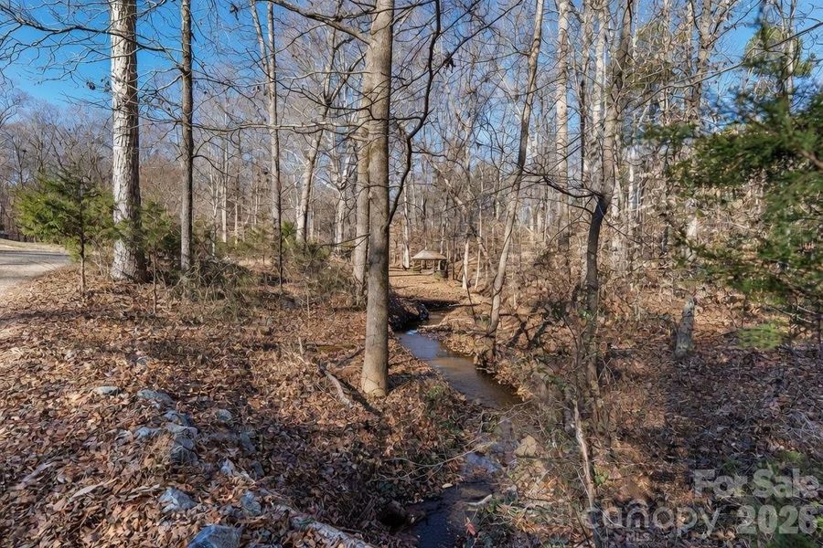 Natural landscape and outdoor views near  in Davidson (Image 34).
