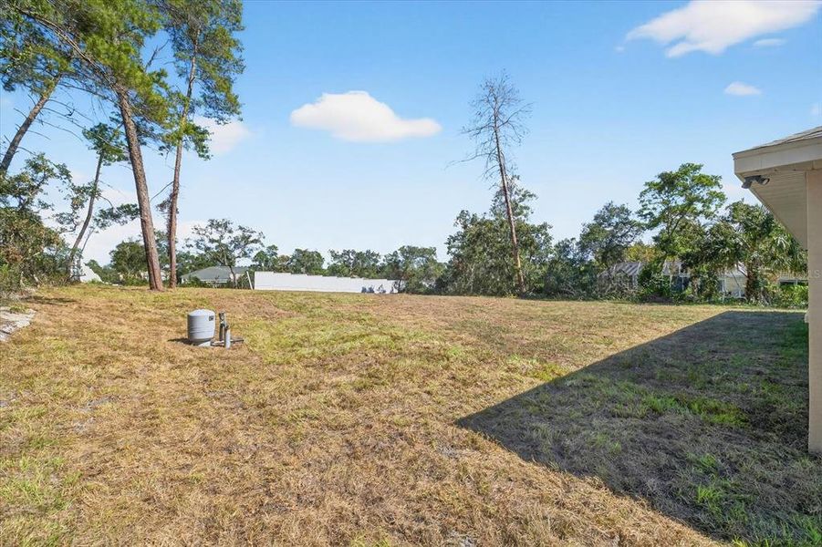 Natural landscape and outdoor views near  in Weeki Wachee (Image 36).