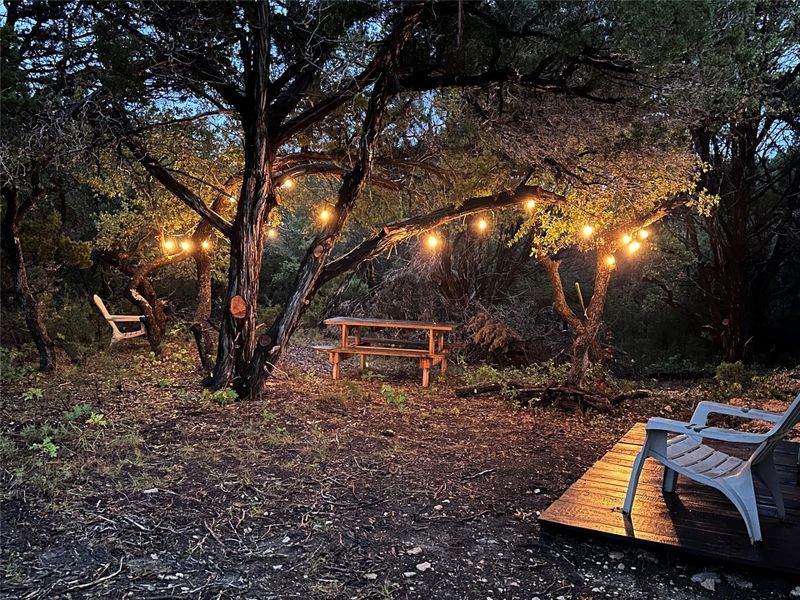 Outdoor gathering area featuring string lighting overhead, mature trees, a wooden picnic table, and a raised wood-finish platform
