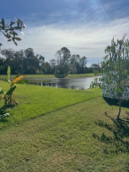 Natural landscape and outdoor views near Knights Landing in Lakeland (Image 30).