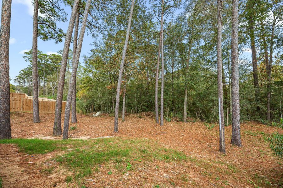Natural landscape and outdoor views near in Conroe (Image 37). Natural landscape and outdoor views near in Conroe (Image 37).
