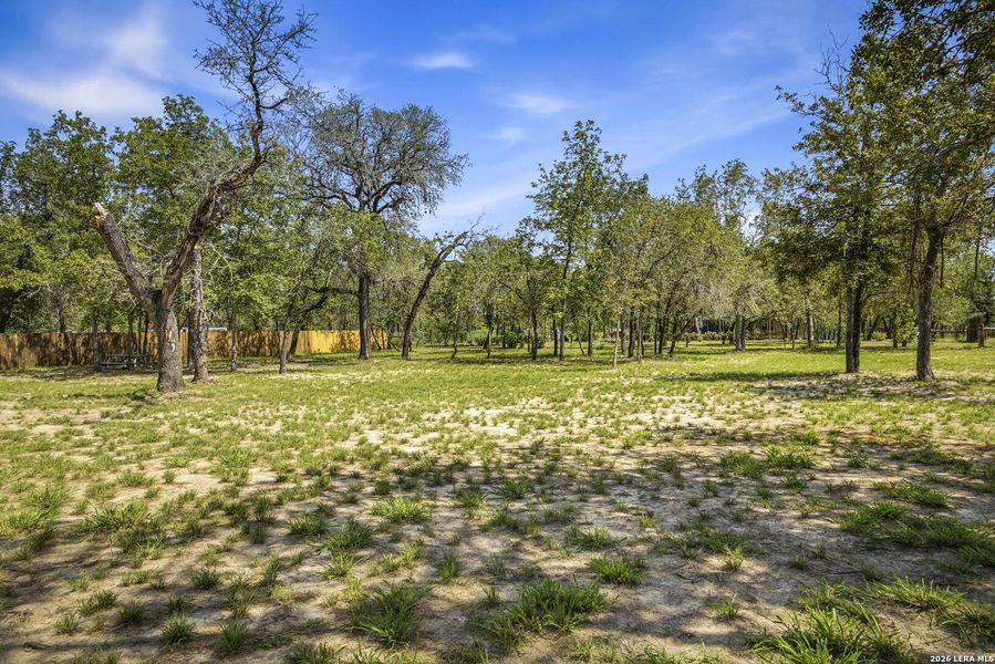 Natural landscape and outdoor views near  in San Antonio (Image 48).