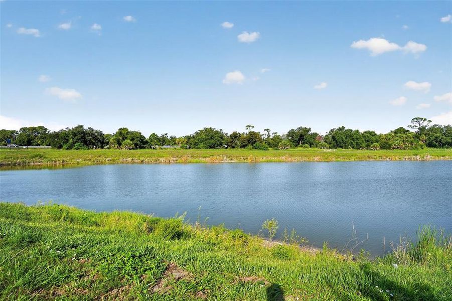 Natural landscape and outdoor views near Magnolia Bay - Premier Series in Nokomis (Image 39). Natural landscape and outdoor views near Magnolia Bay - Premier Series in Nokomis (Image 39).