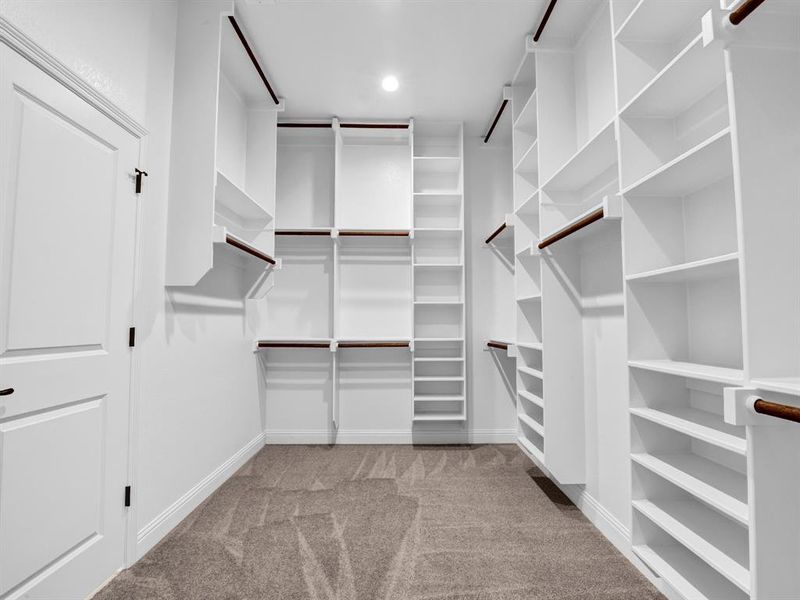 Spacious closet featuring light colored carpet