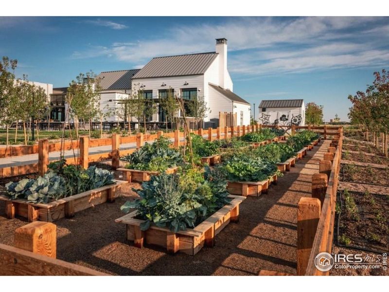 Front exterior of a new home in Kinston Mainstreet Townhomes, Loveland, CO, highlighting curb appeal (Image 29). Front exterior of a new home in Kinston Mainstreet Townhomes, Loveland, CO, highlighting curb appeal (Image 29).
