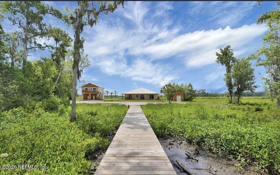 Natural landscape and outdoor views near  in East Palatka (Image 45).