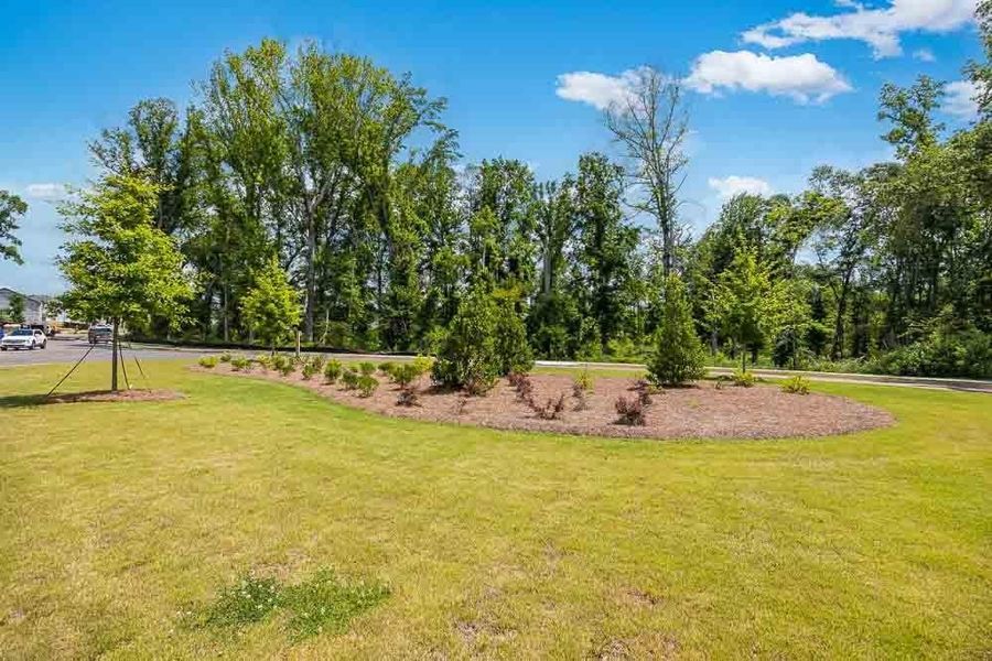 Natural landscape and outdoor views near Kennison Creek in Cumming (Image 33).