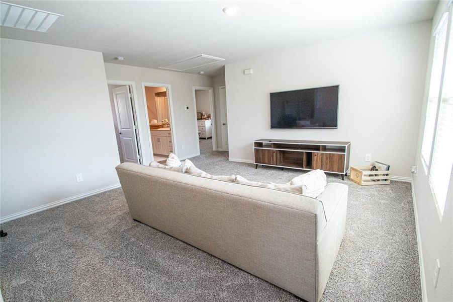 Living room featuring carpet floors and plenty of natural light Living room featuring carpet floors and plenty of natural light