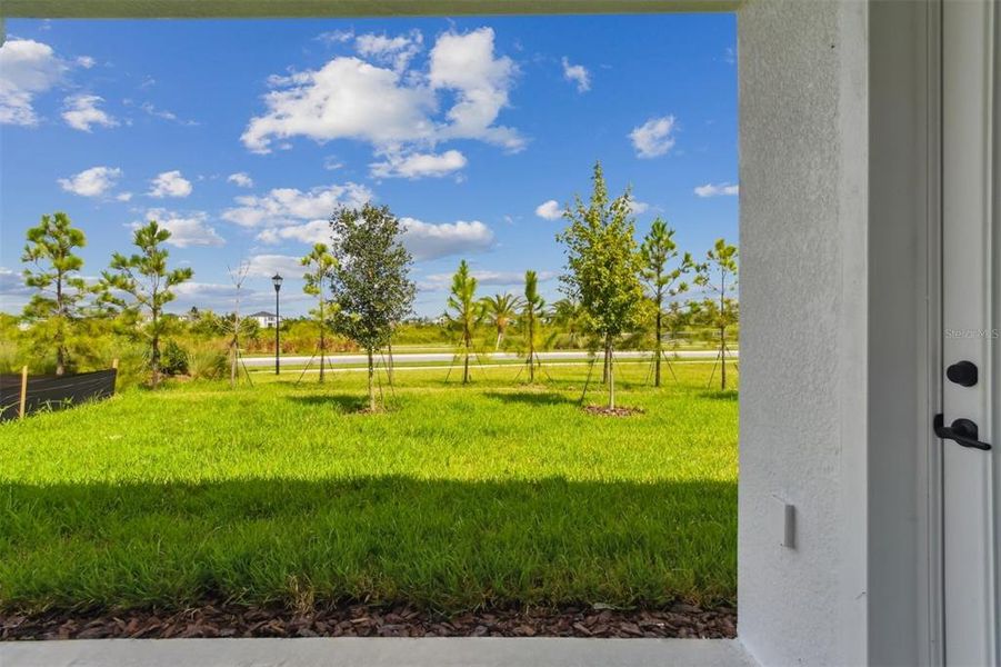 Exterior details and patio area of a home in Chapel Crossings - Garden Series, Wesley Chapel (Image 17).
