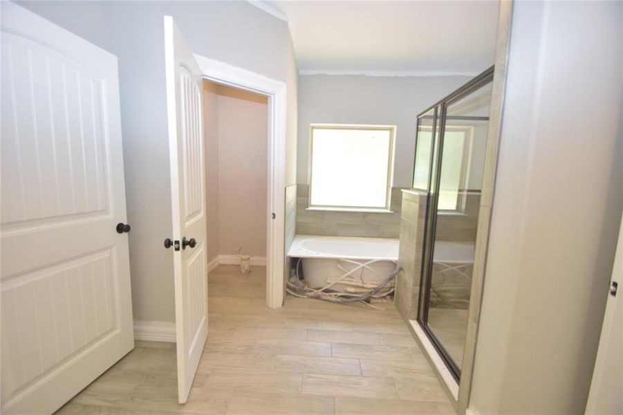 Sample of Home ENTERANCE INTO THE PRIMARY BATH