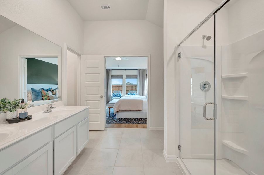 Owner's Bathroom
