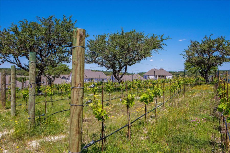 Image 16 of a home in Provence 50'. Image 16 of a home in Provence 50'.