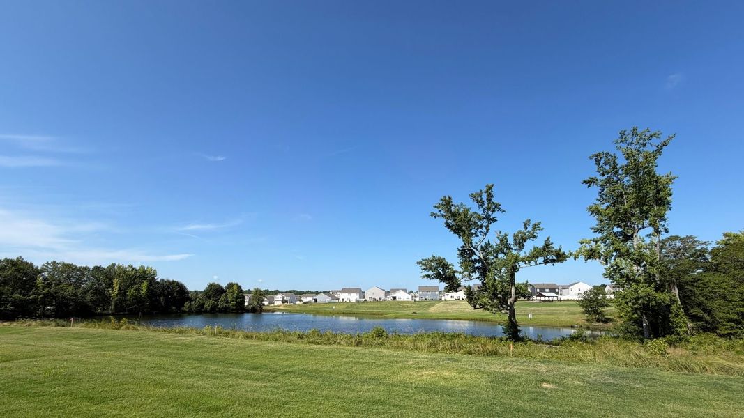 Natural landscape and outdoor views near Durbin Meadows in Fountain Inn (Image 34). Natural landscape and outdoor views near Durbin Meadows in Fountain Inn (Image 34).