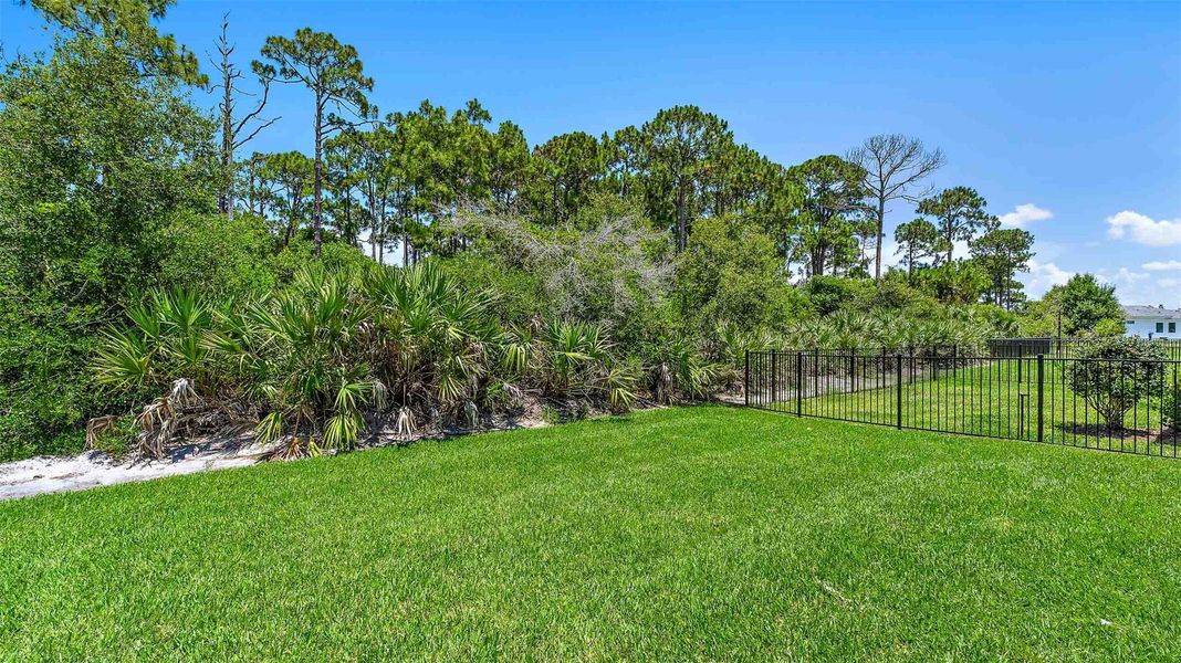 Natural landscape and outdoor views near in Port St. Lucie (Image 38). Natural landscape and outdoor views near in Port St. Lucie (Image 38).
