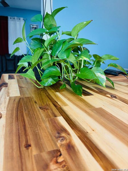 Close-up of interior finishes inside a home in , Schertz (Image 19).