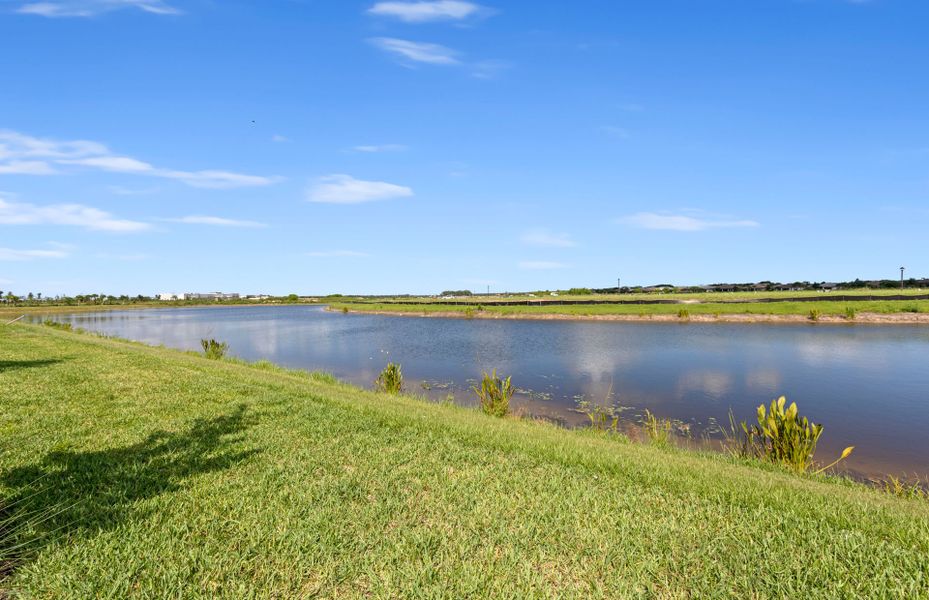 Natural landscape and outdoor views near Del Webb Naples in Immokalee (Image 40).