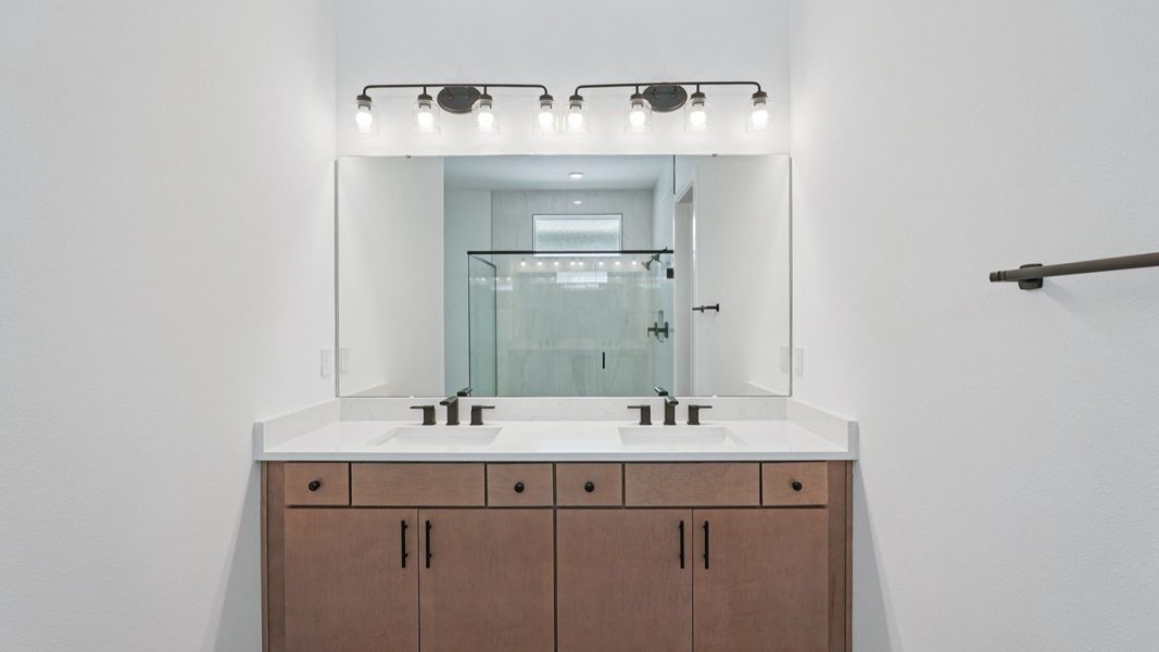 The Primary Bathroom The Primary Bathroom