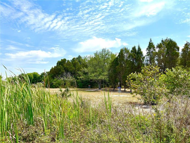 Nearby Picnic Island Park