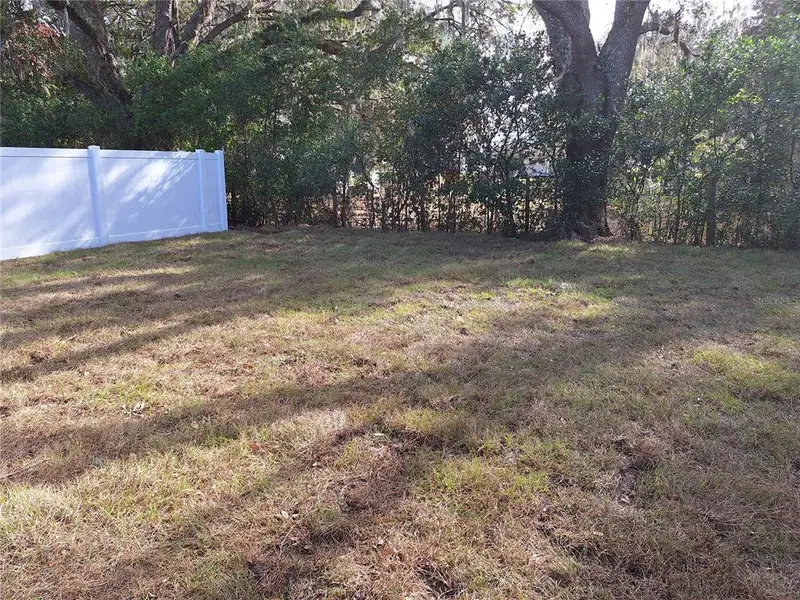 Natural landscape and outdoor views near Lanier Acres in Zephyrhills (Image 4). Natural landscape and outdoor views near Lanier Acres in Zephyrhills (Image 4).