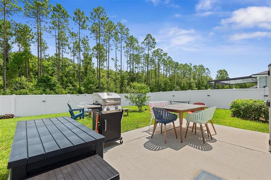 Exterior details and patio area of a home in Sawmill Branch, Palm Coast (Image 26).