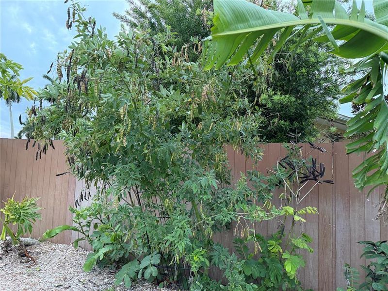 Natural landscape and outdoor views near  in Bradenton (Image 47).