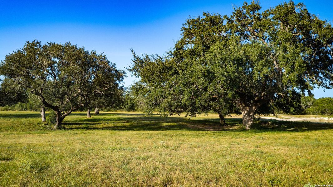 Natural landscape and outdoor views near  in Runge (Image 33).