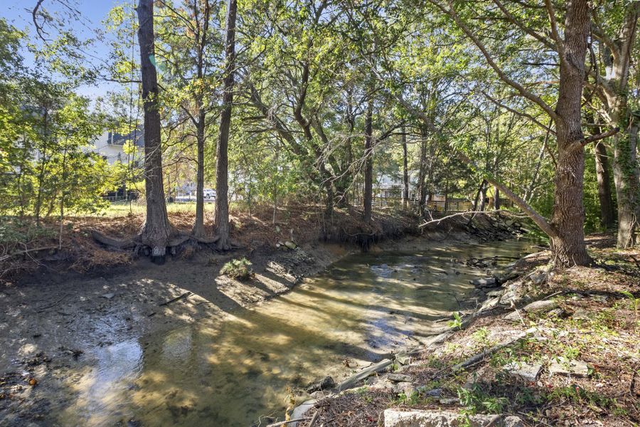 Natural landscape and outdoor views near  in Mount Pleasant (Image 22).