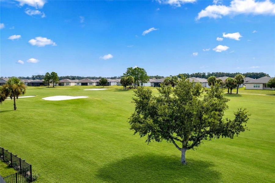 Natural landscape and outdoor views near  in Ocala (Image 41).