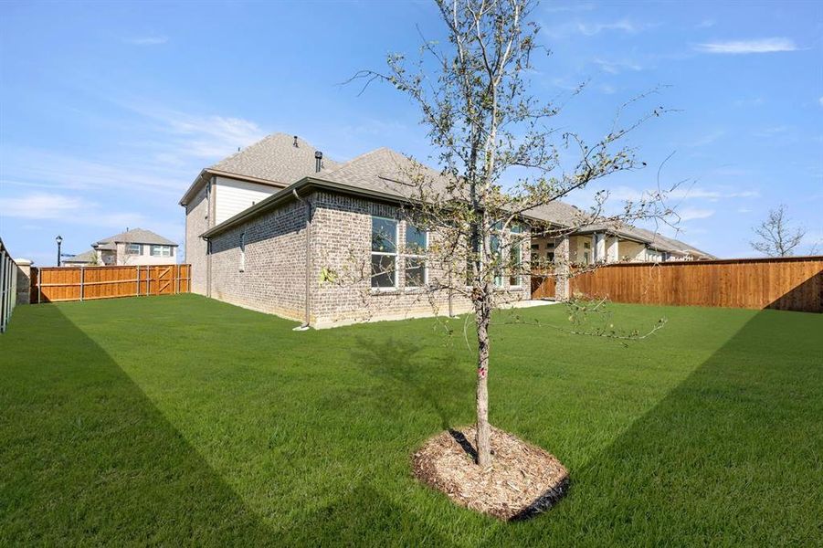 Rear Exterior Design Rear Exterior Design