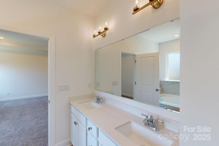 Owners bathroom
