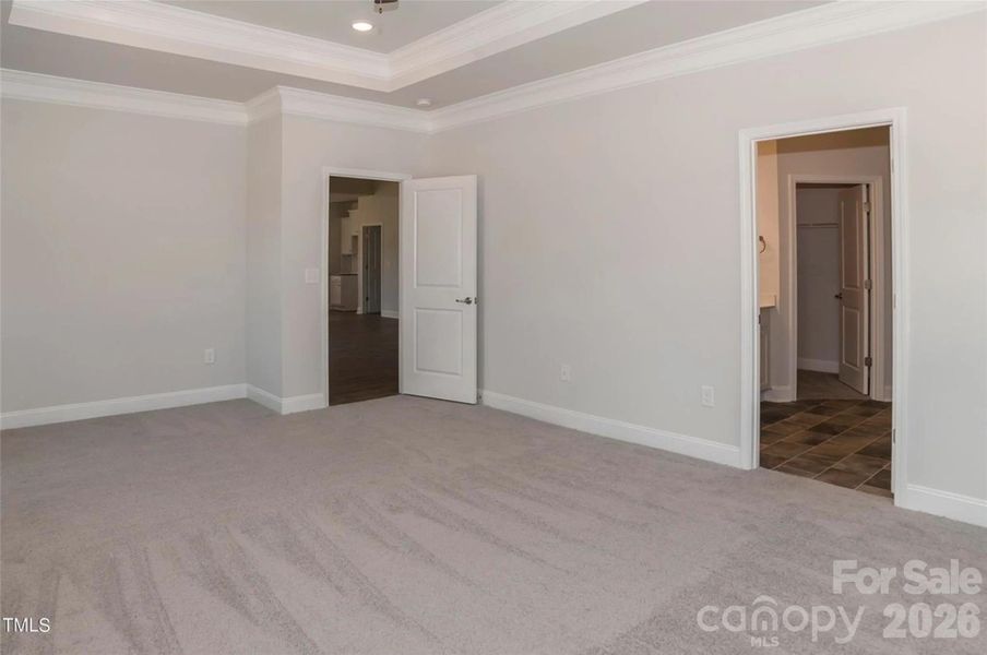 Representative Photo