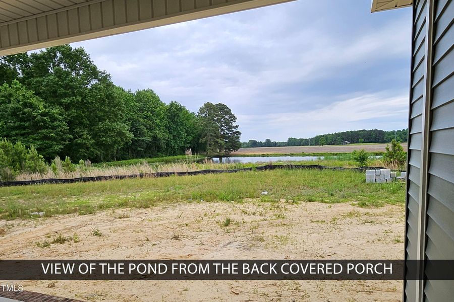 Jarrell View from Back Porch