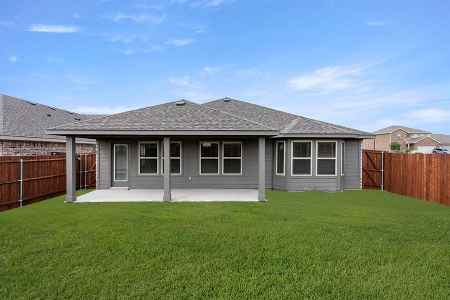 26. 3233 Timineri - Back