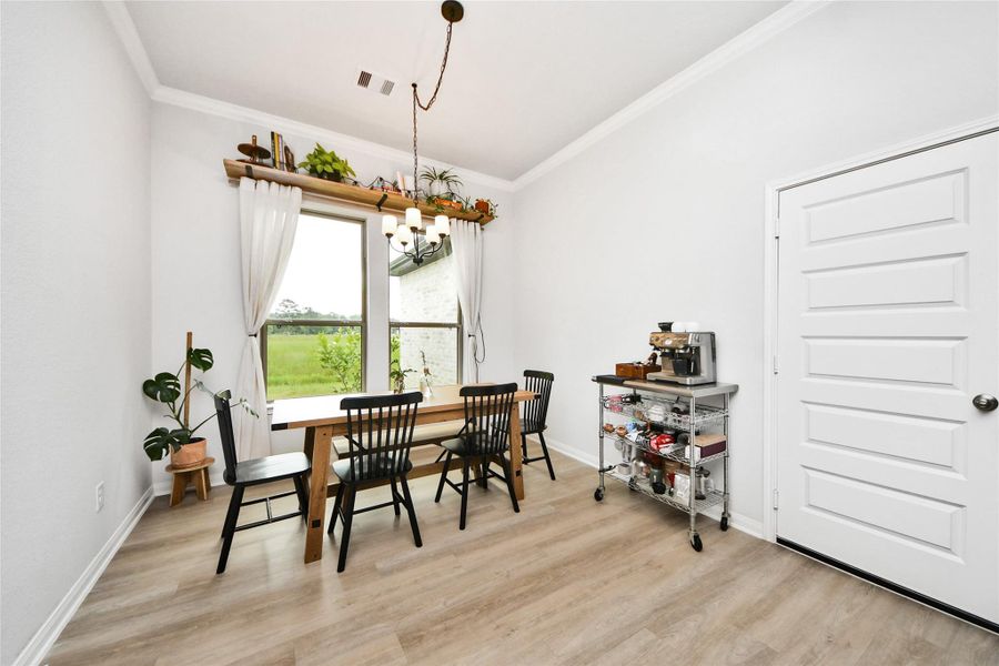 Furnished interior view inside a new home in Barton Place, Cleveland (Image 26).