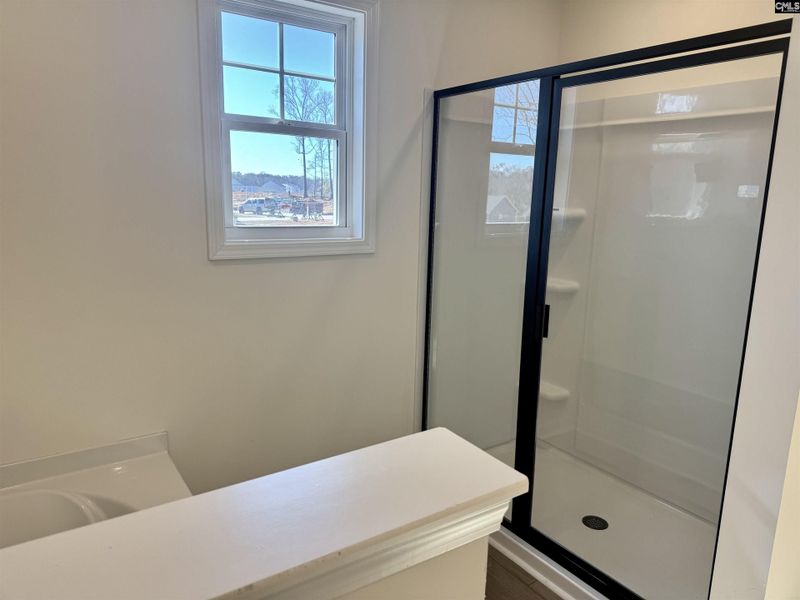 Close-up of interior finishes inside a home in Boykin Hills, Chapin (Image 19).