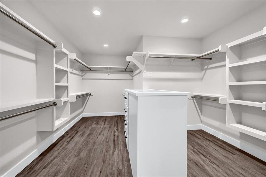 Spacious closet featuring dark hardwood / wood-style floors