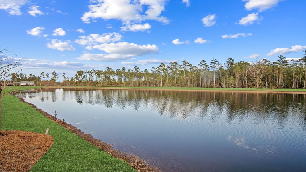 Natural landscape and outdoor views near The Lakes at North Glynn in Brunswick (Image 30).
