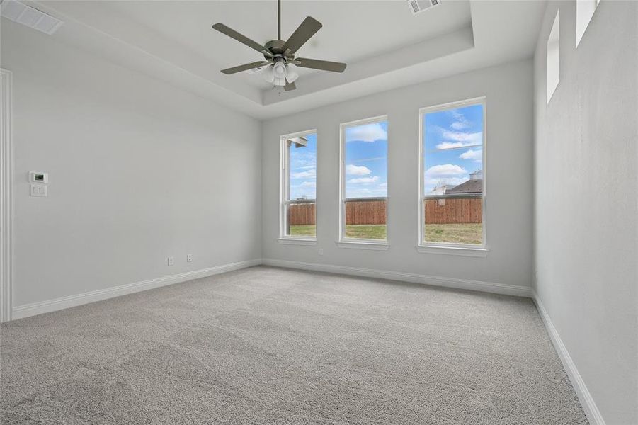 Unfurnished room with baseboards, visible vents, carpet flooring, and a raised ceiling