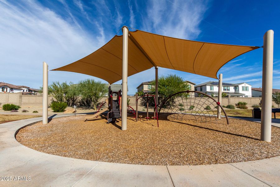 46 - Mariposa Grande 14045