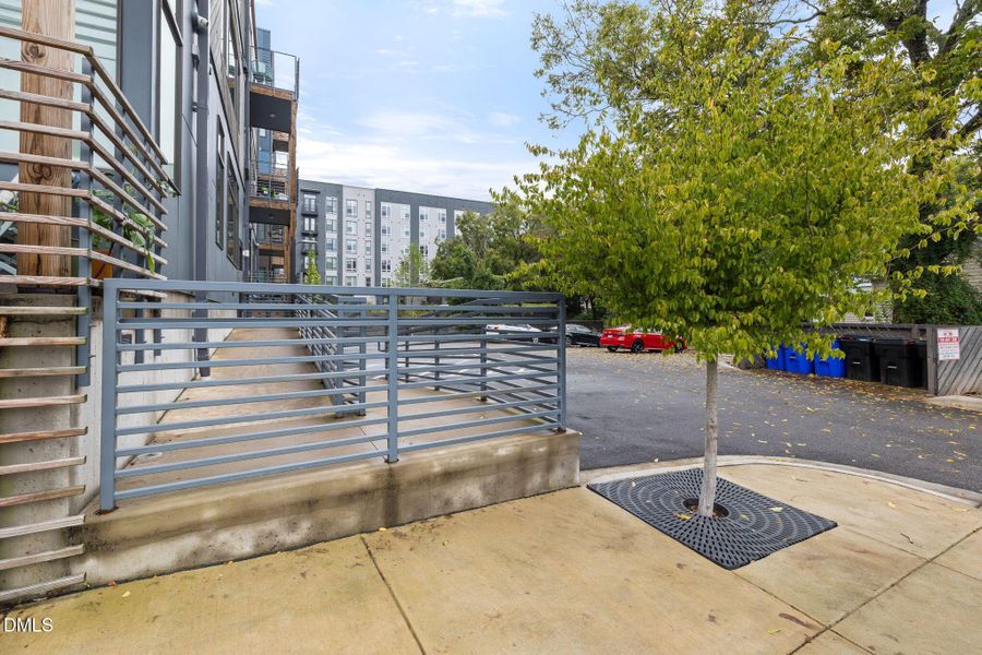 37-web-or-mls-DX3A8745