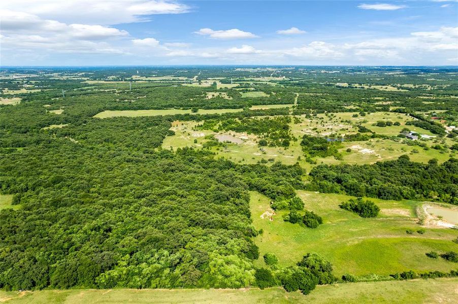Bird's eye view of a heavily wooded area Bird's eye view of a heavily wooded area