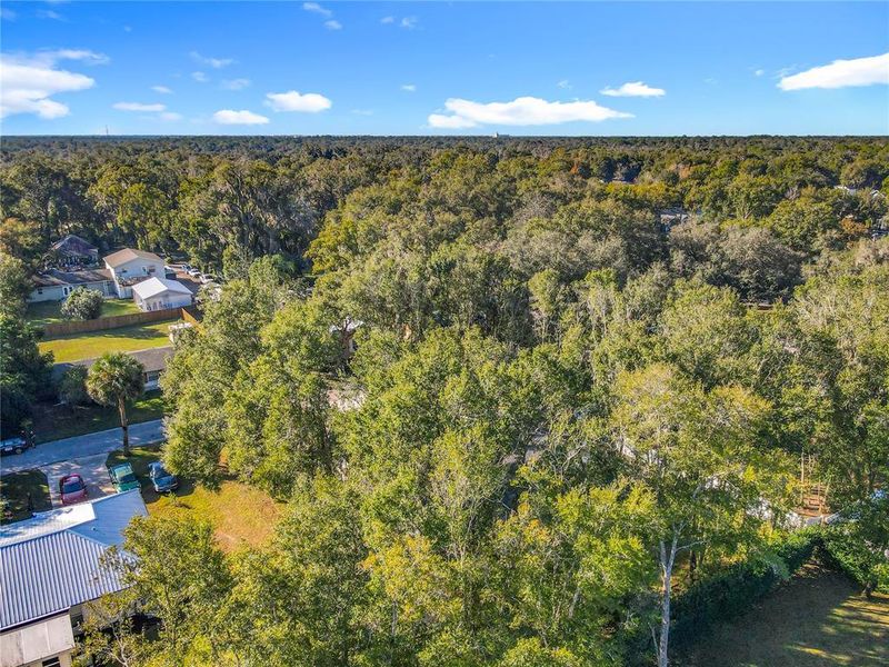Natural landscape and outdoor views near in Lake Helen (Image 40). Natural landscape and outdoor views near in Lake Helen (Image 40).