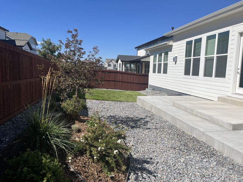 1829 Flourish - Backyard