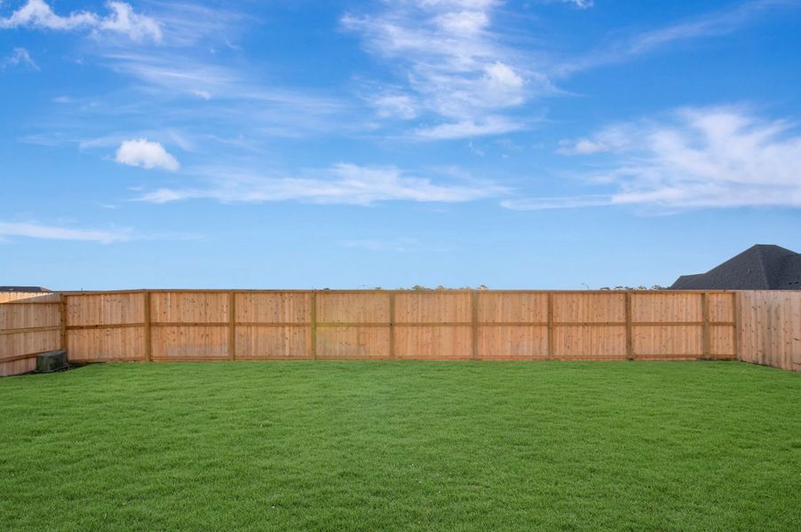 Backyard Backyard