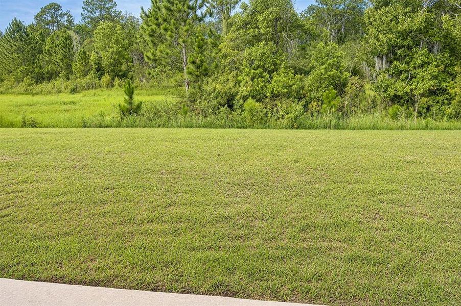 Natural landscape and outdoor views near Harmony Central in St. Cloud (Image 21).
