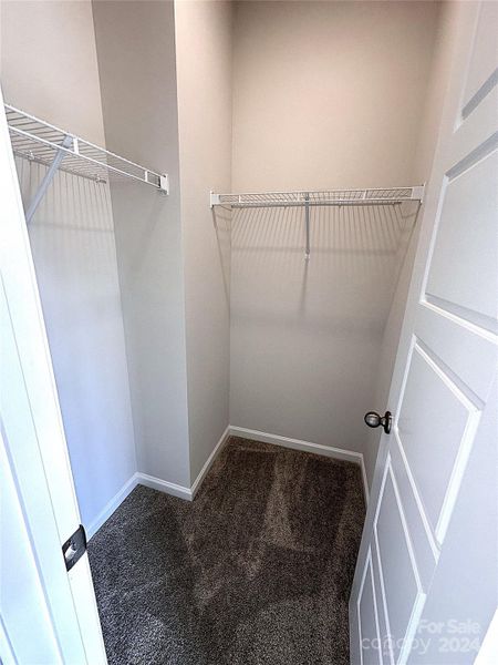 Digital Similar Image- walk in closet in ensuite #2