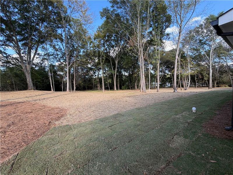 Natural landscape and outdoor views near  in Jefferson (Image 30).