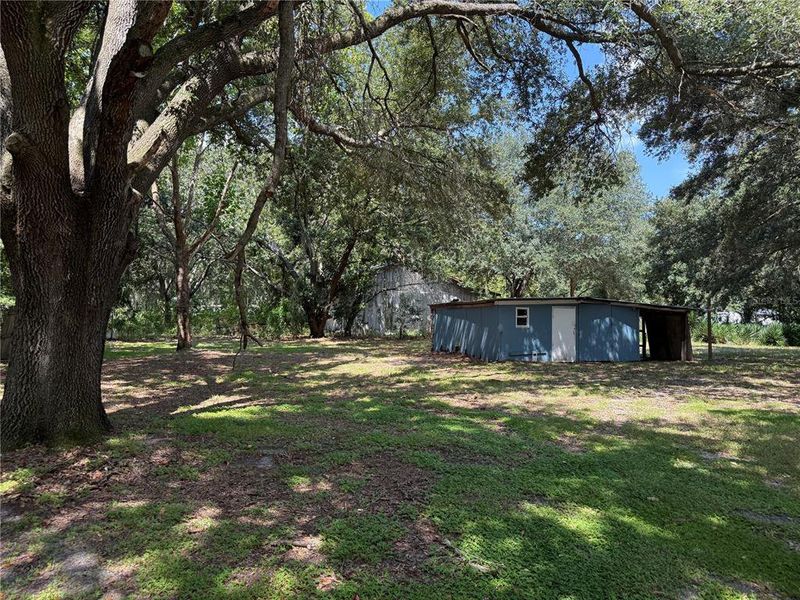 Natural landscape and outdoor views near  in Polk City (Image 25).